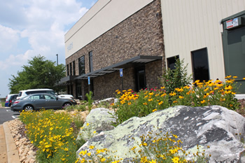 About Vitalabs An external view of the Vitalabs building, with a flowerbed in the foreground.